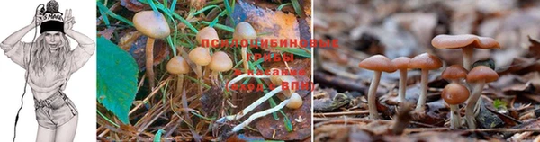герыч Карталы