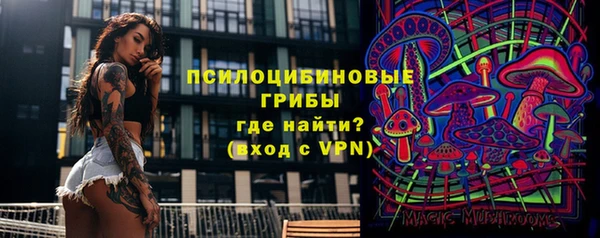 гашиш Карпинск