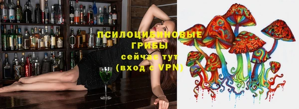 гашиш Карпинск