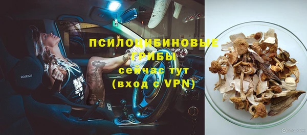 mdpv Касимов